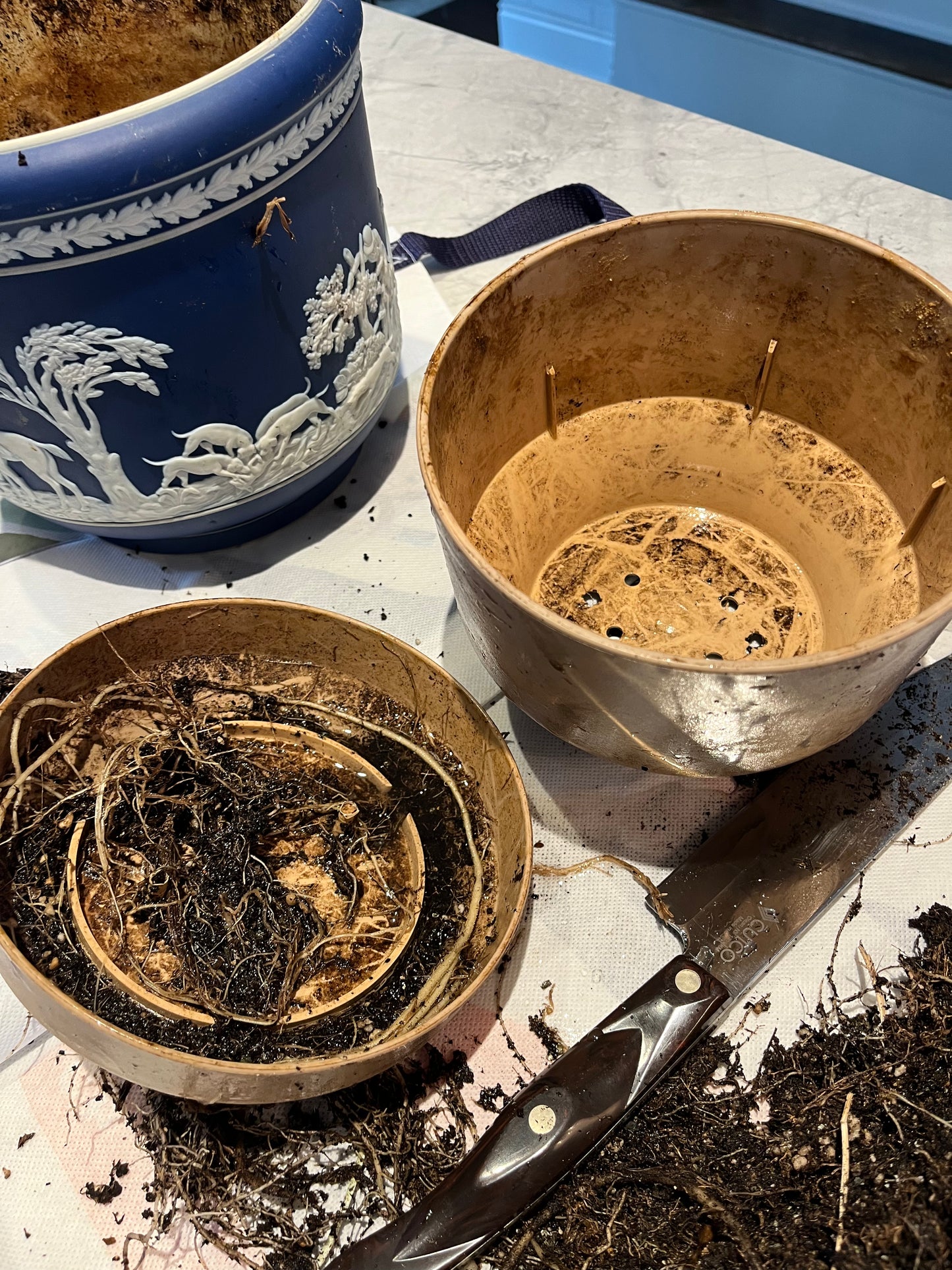 Plant Care