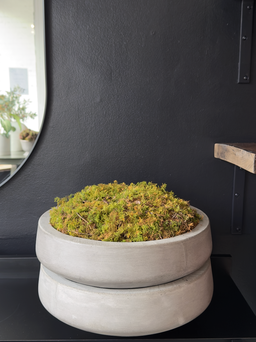 Concrete Moss Bowl