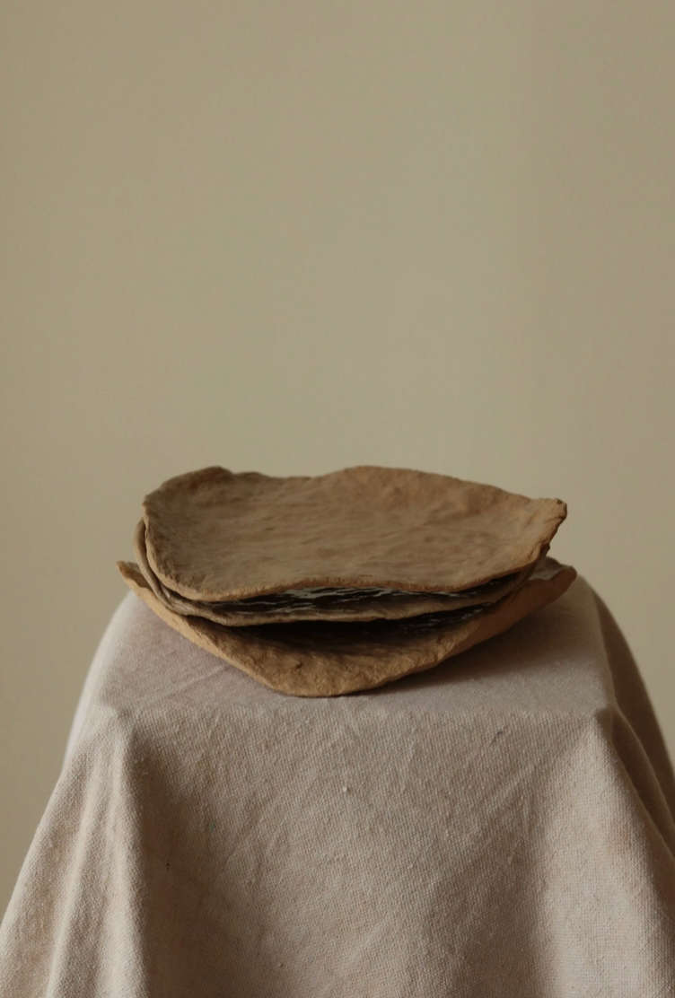 Orgánica Dish