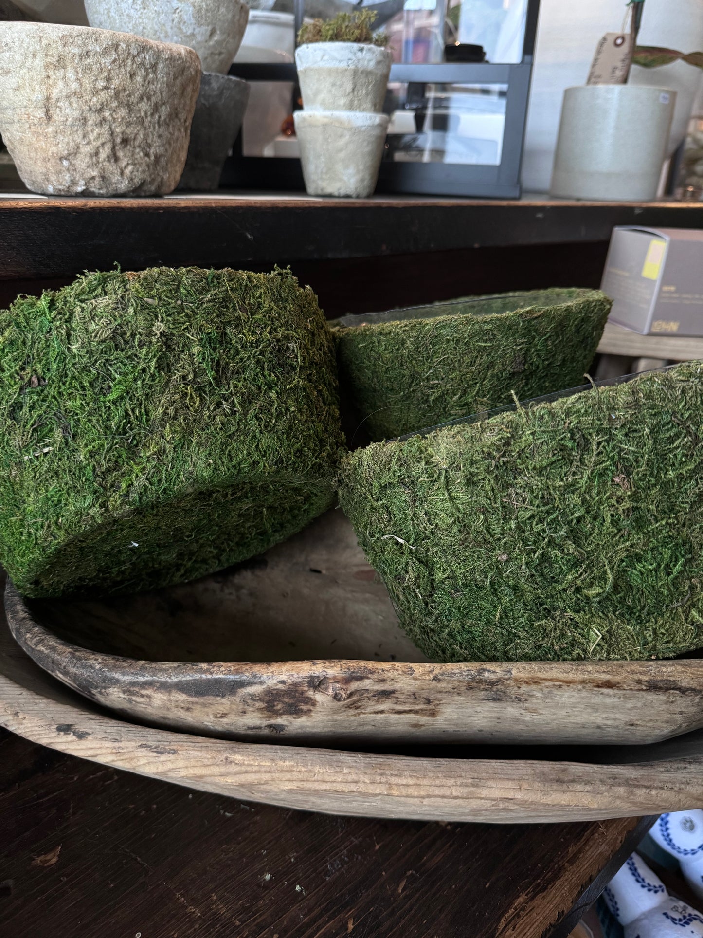 Moss Centrepiece Vessel